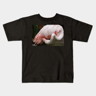 Greater Flamingo Preening #3 Kids T-Shirt